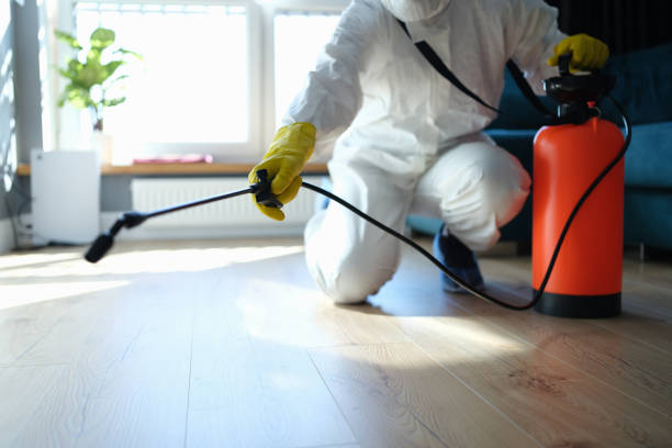 Trusted Sewage Cleanup service in Fairmont, IL - Four Month Blood Cleanse